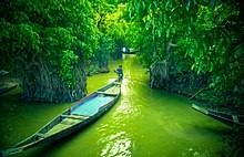 Ratargul Swamp forest Entrance