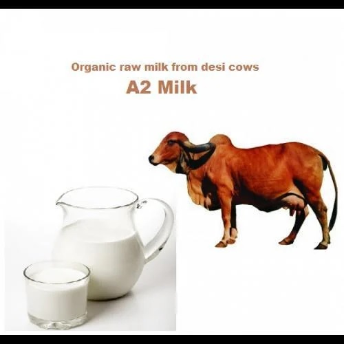 A2 Cow Deshi Milk